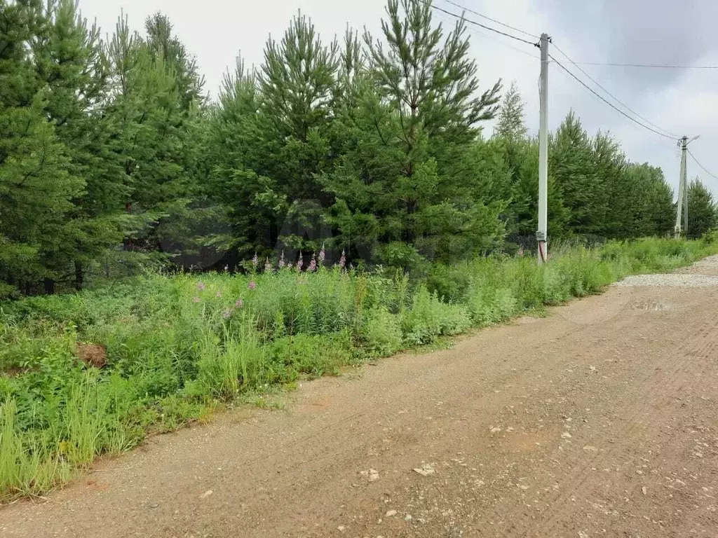 Участок 10 сот. (СНТ, ДНП) - Фото 0