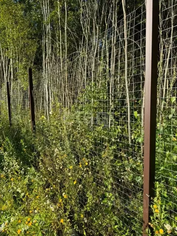 Участок в Калужская область, Боровский муниципальный округ, Совьяки ... - Фото 2