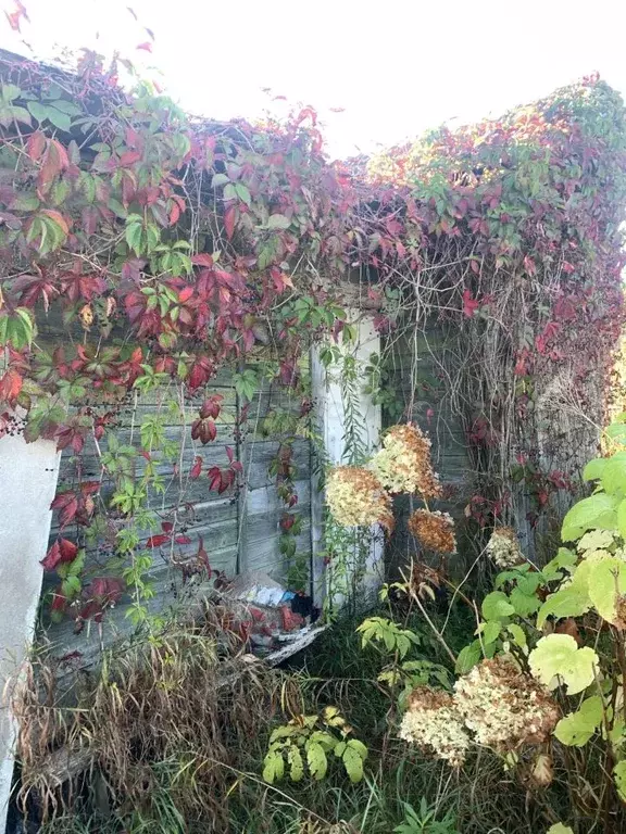 Дом в Калужская область, Калуга Машзавод СНТ, 259 (20 м) - Фото 2