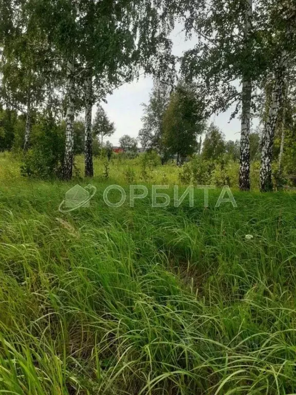 Участок в Тюменская область, Нижнетавдинский муниципальный округ, ... - Фото 1