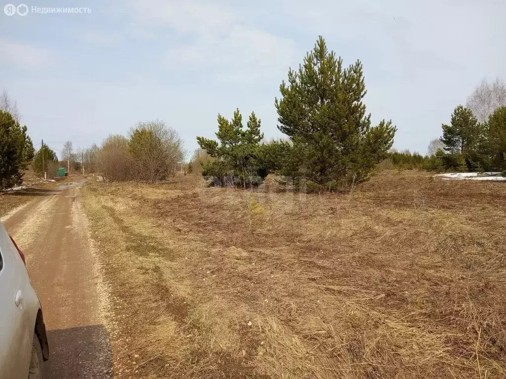 Участок в Можгинский район, деревня Залесный, Дачная улица (14 м) - Фото 2