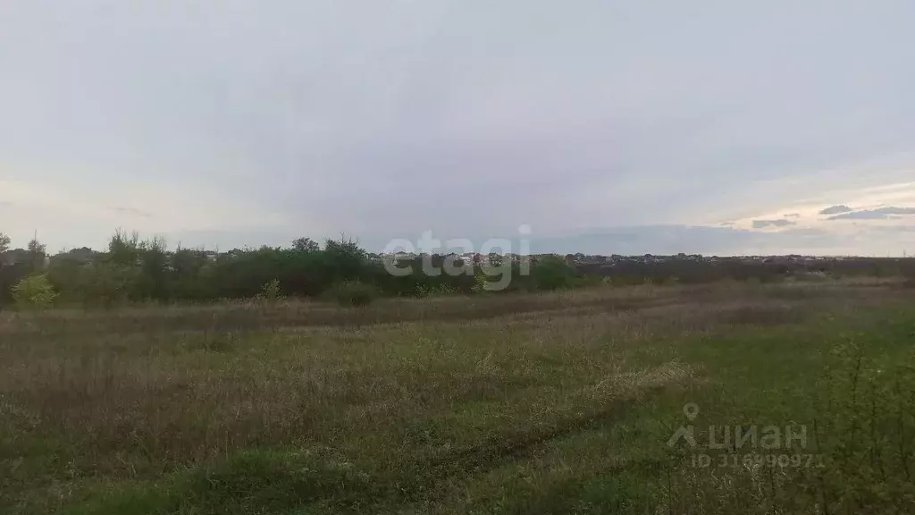 Участок в Белгородская область, Ракитянский район, Дмитриевское с/пос, ... - Фото 1