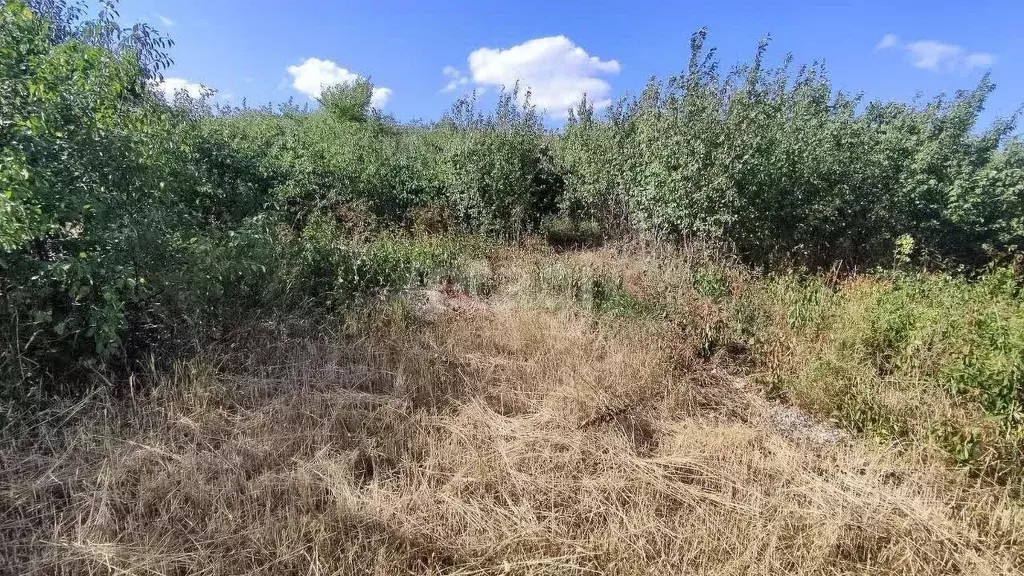 Участок в Ставропольский край, Ставрополь Зеленый Яр садовое ... - Фото 2