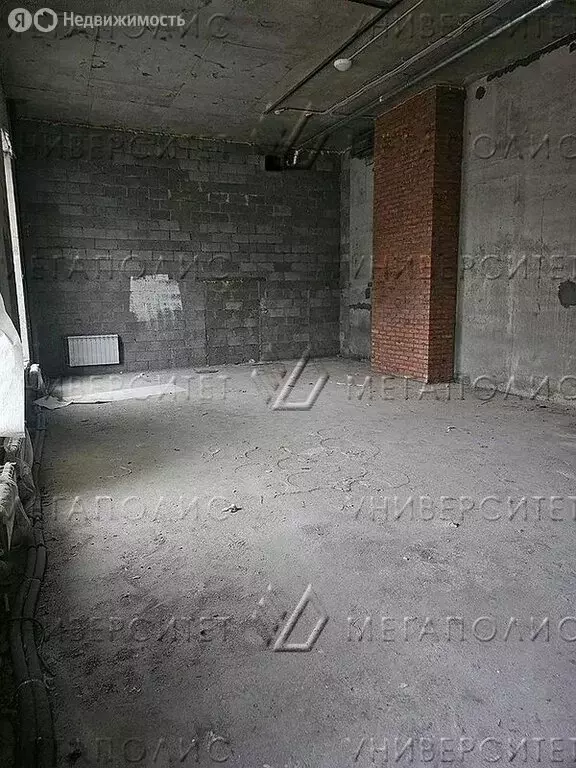 Помещение свободного назначения (38 м) - Фото 2