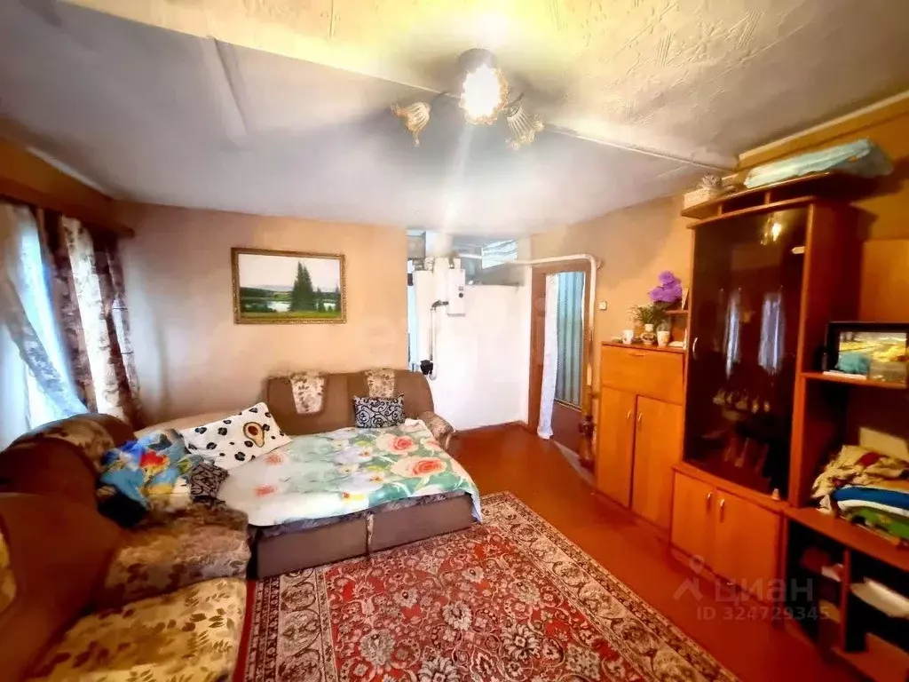 Дом в Пермский край, Чернушинский муниципальный округ, с. Брод ул. ... - Фото 1