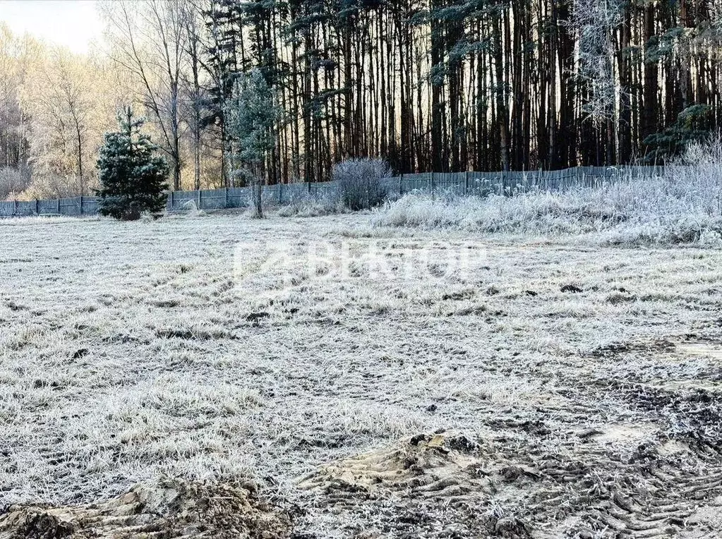 Участок в Костромская область, Кострома Ручеек СНТ, 31 (12.0 сот.) - Фото 2