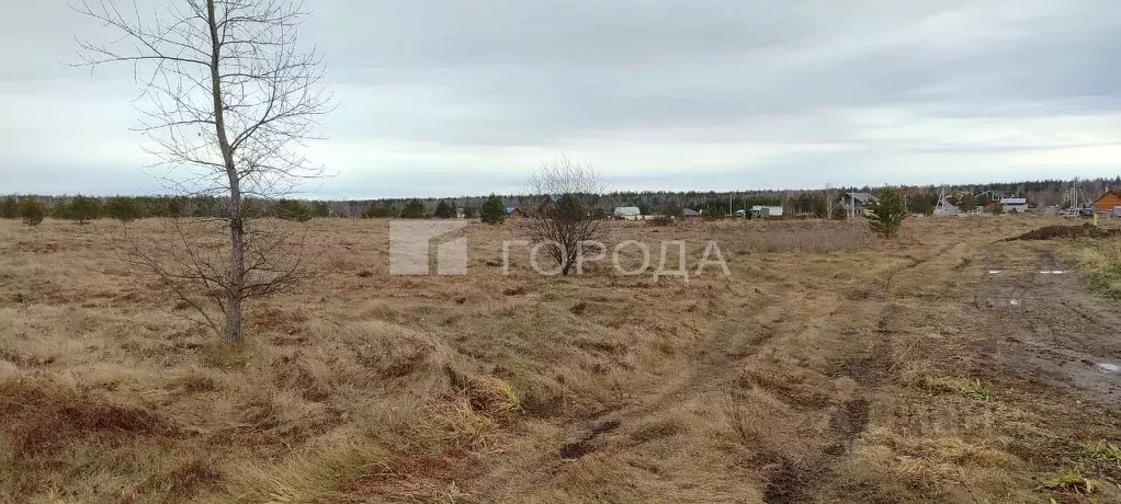 Участок в Алтайский край, Барнаул ул. Ползунова, 70 (9.8 сот.) - Фото 1