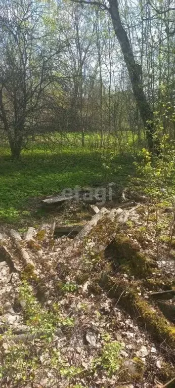 Участок в Псковская область, Островский район, Воронцовская волость, ... - Фото 1
