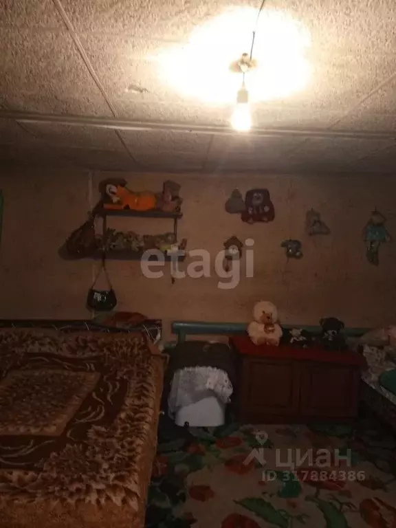 Дом в Алтайский край, Алтайский район, с. Алтайское ул. Ленина, 45А ... - Фото 0