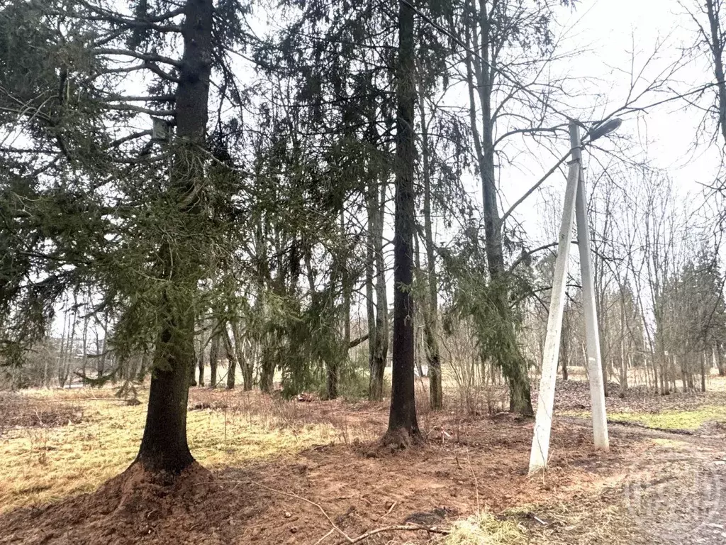 Участок в Ленинградская область, Гатчинский муниципальный округ, ... - Фото 2