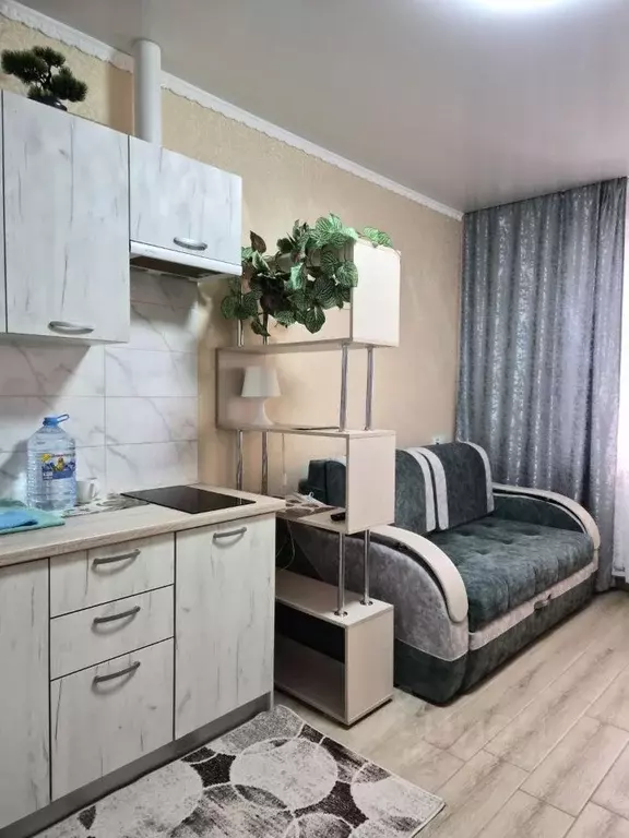 Студия Краснодарский край, Новороссийск Цемдолина тер., ул. Красина, ... - Фото 1