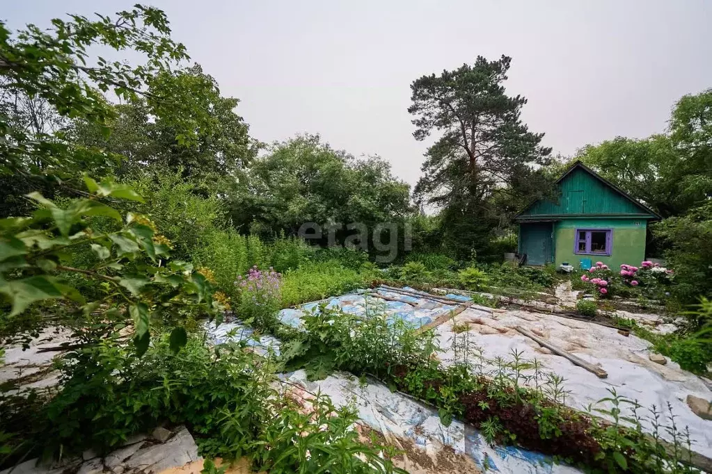Дом в Хабаровский край, Хабаровск Родники садовое товарищество, 151 ... - Фото 0