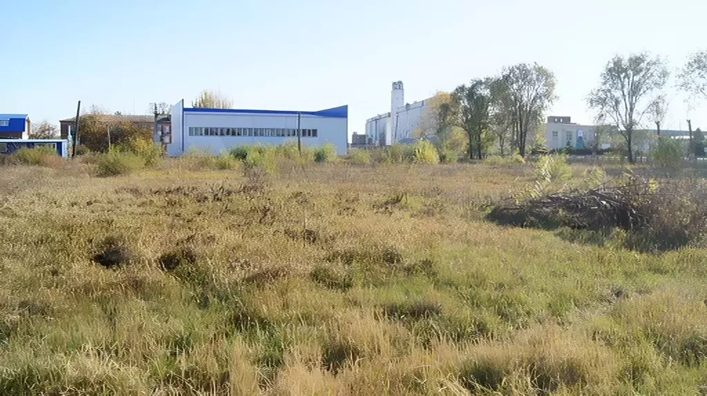 Участок в Краснодарский край, Щербиновский район, Старощербиновская ... - Фото 1