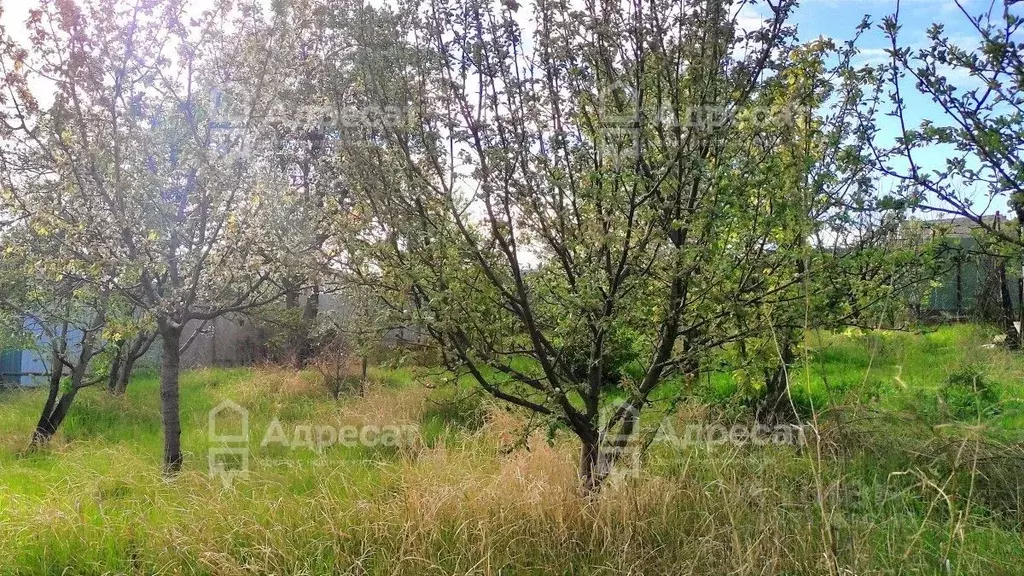 Дом в Волгоградская область, Волгоград Восход СНТ,  (16 м) - Фото 0