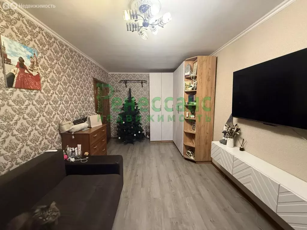 1-комнатная квартира: Брянск, Авиационная улица, 26 (31 м) - Фото 2