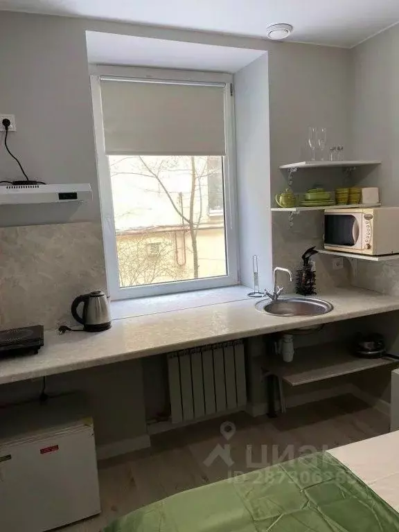 1-к кв. Санкт-Петербург Пушкинская ул., 15 (15.0 м) - Фото 1