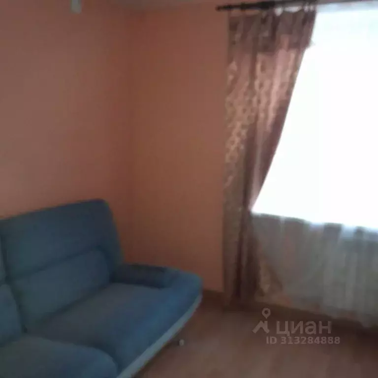 1-к кв. Нижегородская область, Нижний Новгород д. Афонино, ул. ... - Фото 2