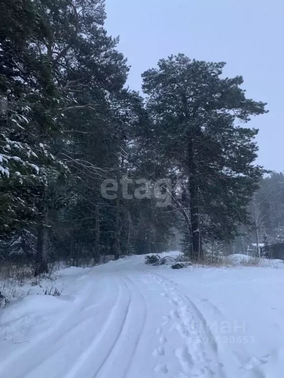 Участок в Томская область, Томский район, д. Большое Протопопово ул. ... - Фото 1