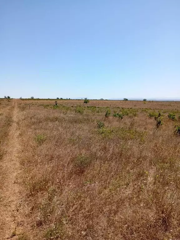 участок в крым, бахчисарайский район, песчановское с/пос, с. береговое . - Фото 0