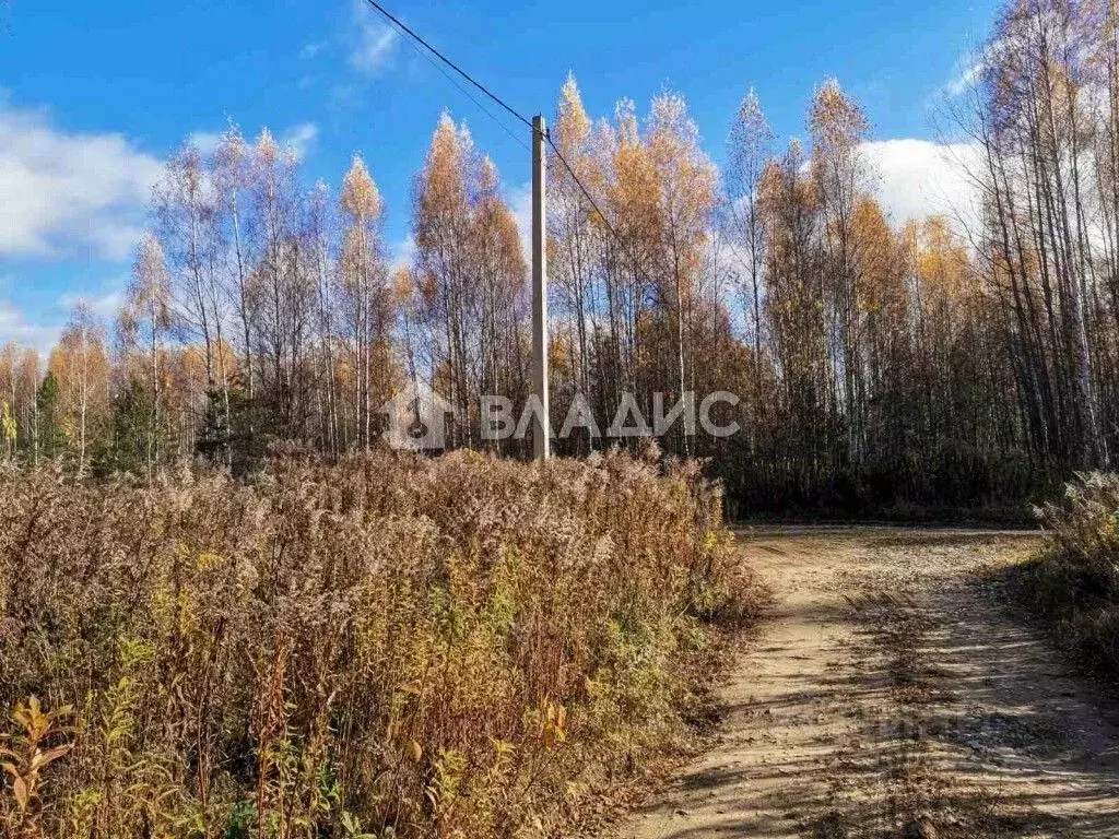 Участок в Владимирская область, Владимир ул. Большая Лукинская, 34 ... - Фото 0