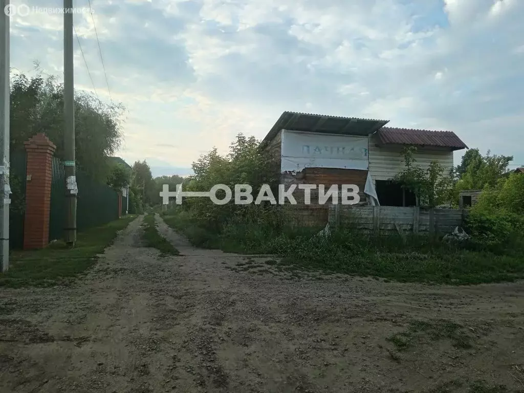 Участок в Новосибирская область, рабочий посёлок Ордынское, СНТ ... - Фото 0