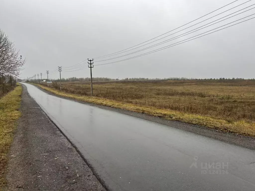 Участок в Владимирская область, Александровский район, Андреевское ... - Фото 0