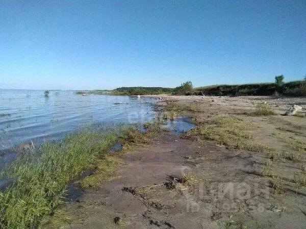 Участок в Новгородская область, Шимское городское поселение, д. Мстонь ... - Фото 1