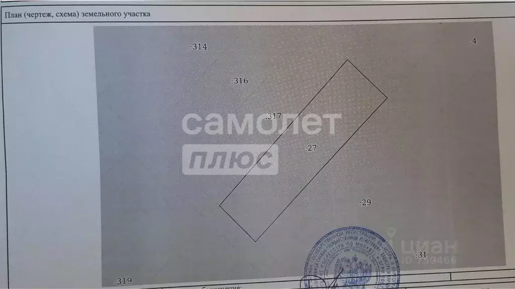 Участок в Новосибирская область, Новосибирск Новый Мир садовое ... - Фото 1