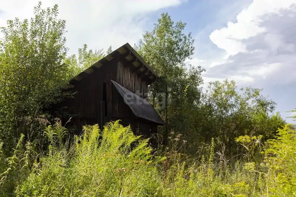 Участок в Кемеровская область, Новокузнецкий муниципальный округ, с. ... - Фото 2