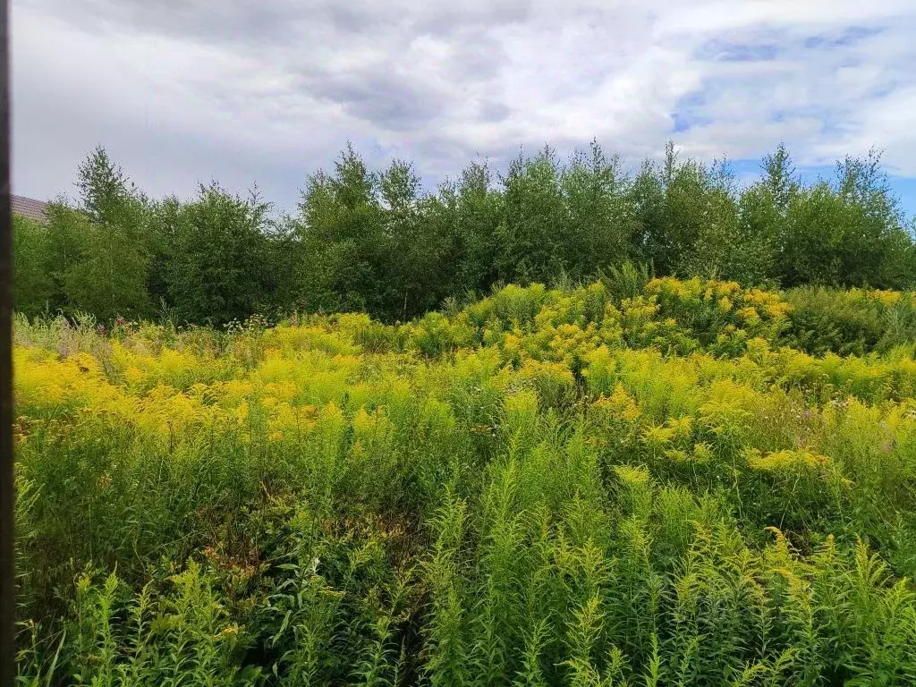 Коттедж в Нижегородская область, Богородский муниципальный округ, д. ... - Фото 1