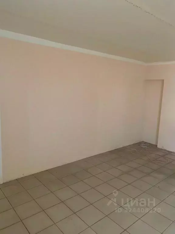 Помещение свободного назначения в Нижегородская область, Павлово ул. ... - Фото 1