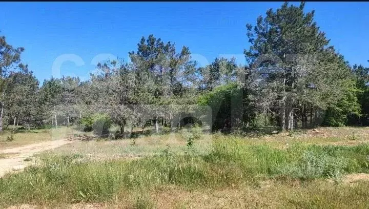 Участок в Севастополь ул. Генерала Жидилова, 48 (5.0 сот.) - Фото 2