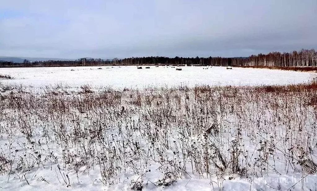 Участок в Свердловская область, Горноуральский муниципальный округ, с. ... - Фото 0