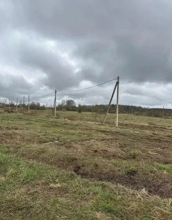 Участок в Владимирская область, Петушинский муниципальный округ, д. ... - Фото 2