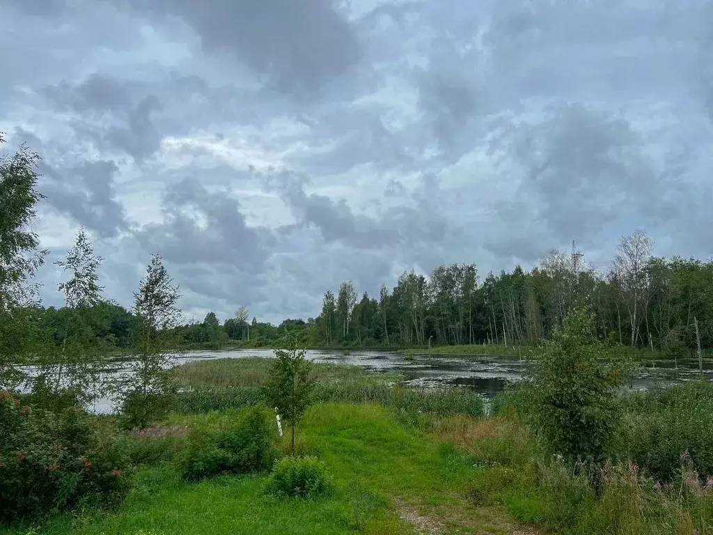 Дом в Ленинградская область, Лужский район, Серебрянское с/пос, ... - Фото 1