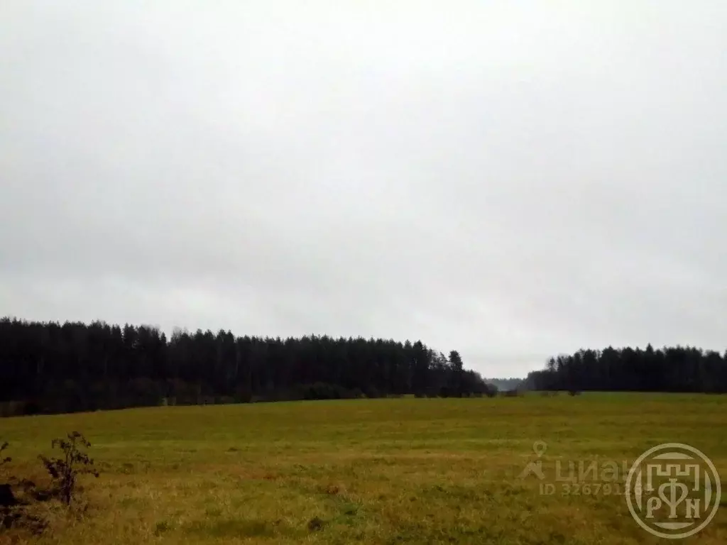 Участок в Ленинградская область, Выборгский район, Полянское с/пос, ... - Фото 1