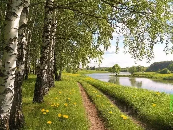 Коттедж в Московская область, Одинцовский городской округ, д. Бузаево, ... - Фото 1