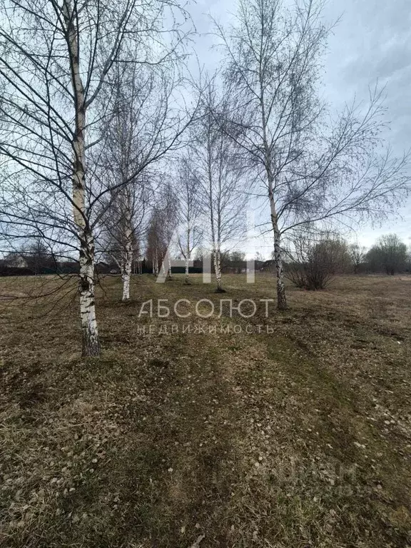 Участок в Московская область, Сергиево-Посадский городской округ, д. ... - Фото 1