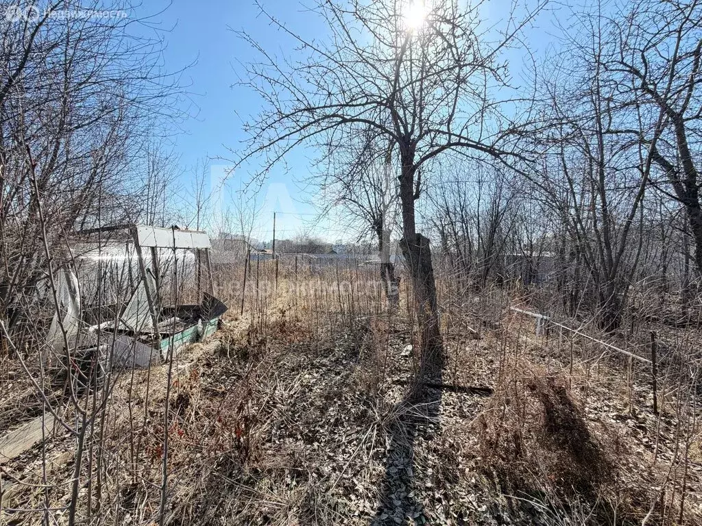 Участок в Челябинск, СНТ Садовод-Любитель № 1, 5-я улица (3.17 м) - Фото 1