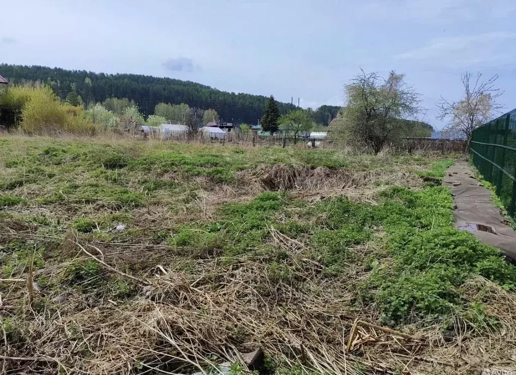 Участок в Красноярский край, Дивногорск городской округ, с. Овсянка ... - Фото 2