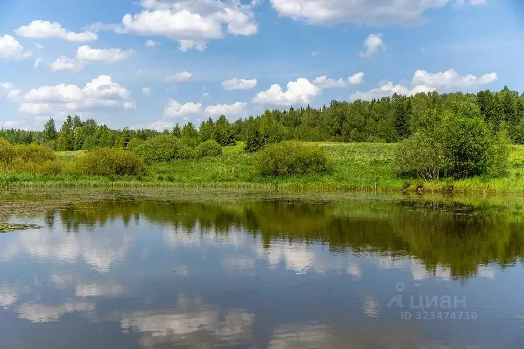 Участок в Московская область, Истра муниципальный округ, д. Рыбушки  ... - Фото 2