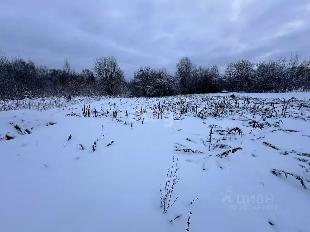 Участок в Владимирская область, Округ Муром городской округ, с. ... - Фото 1