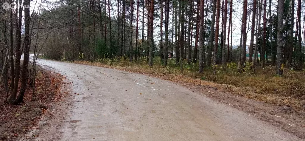 Участок в Псковский район, Тямшанская волость, деревня Барановка (15 ... - Фото 0