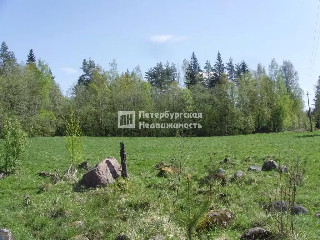 Участок в Ленинградская область, Выборгский район, Советское городское ... - Фото 1