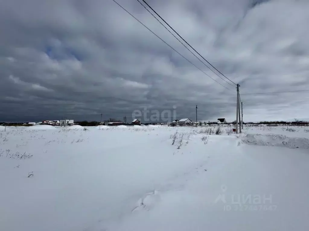 Участок в Калининградская область, Зеленоградский муниципальный округ, ... - Фото 2