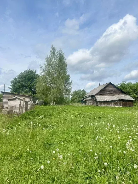 Участок 14,5 сот. (СНТ, ДНП) - Фото 1
