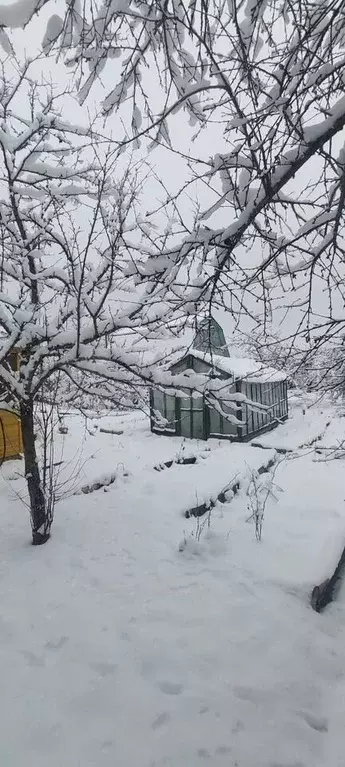 Дом 78,4 м на участке 8 сот. - Фото 1