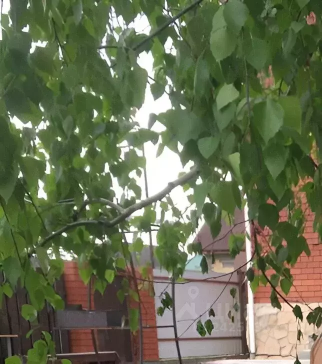 Дом в Свердловская область, Арамиль ул. Чкалова, 42А (300 м) - Фото 2