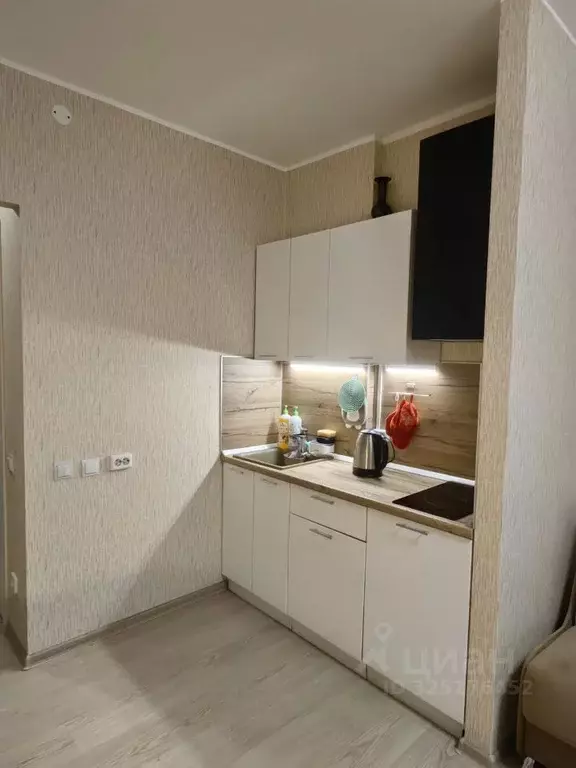 Студия Санкт-Петербург ул. Руднева, 16 (25.0 м) - Фото 1