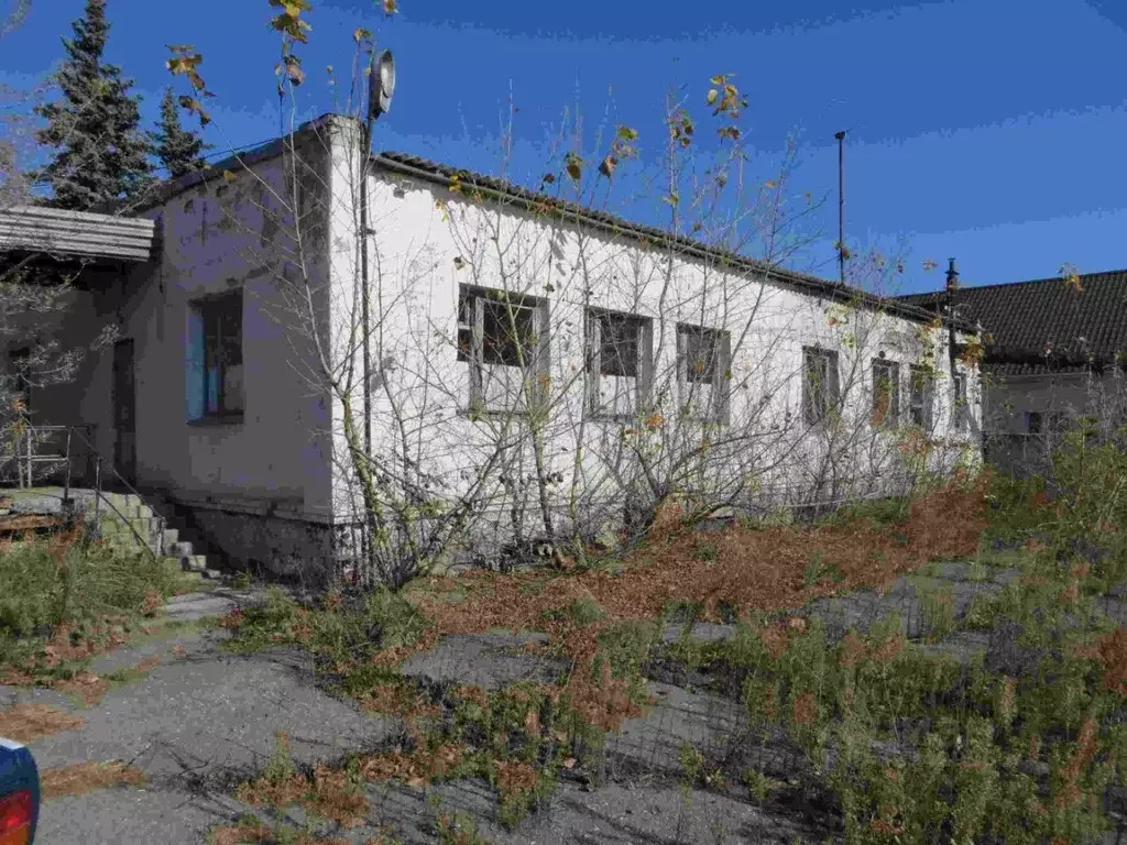 Помещение свободного назначения в Воронежская область, Таловая рп ул. ... - Фото 1